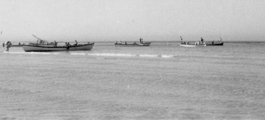 קורס דרגה ג' שדות ים – 1946 – סירות במפרץ