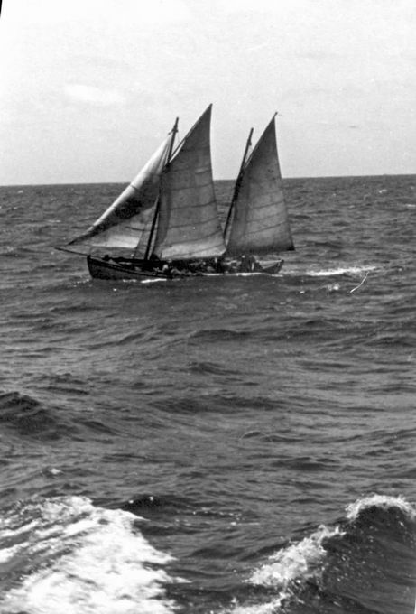 מחנה דרגה א' של הפועל – 1946 תמונה 8