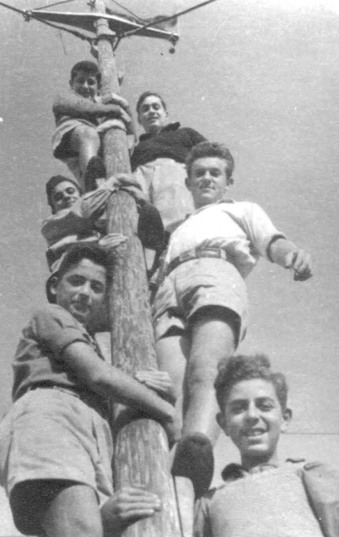 1946 – על התורן ליד הירקון – מלמטה: אלי לוי, צבי פז, צ'רלי ואמציה