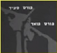 קרב הרומני - מפקדי הכוחות מתארים את קרב הרומני 11 7 1967